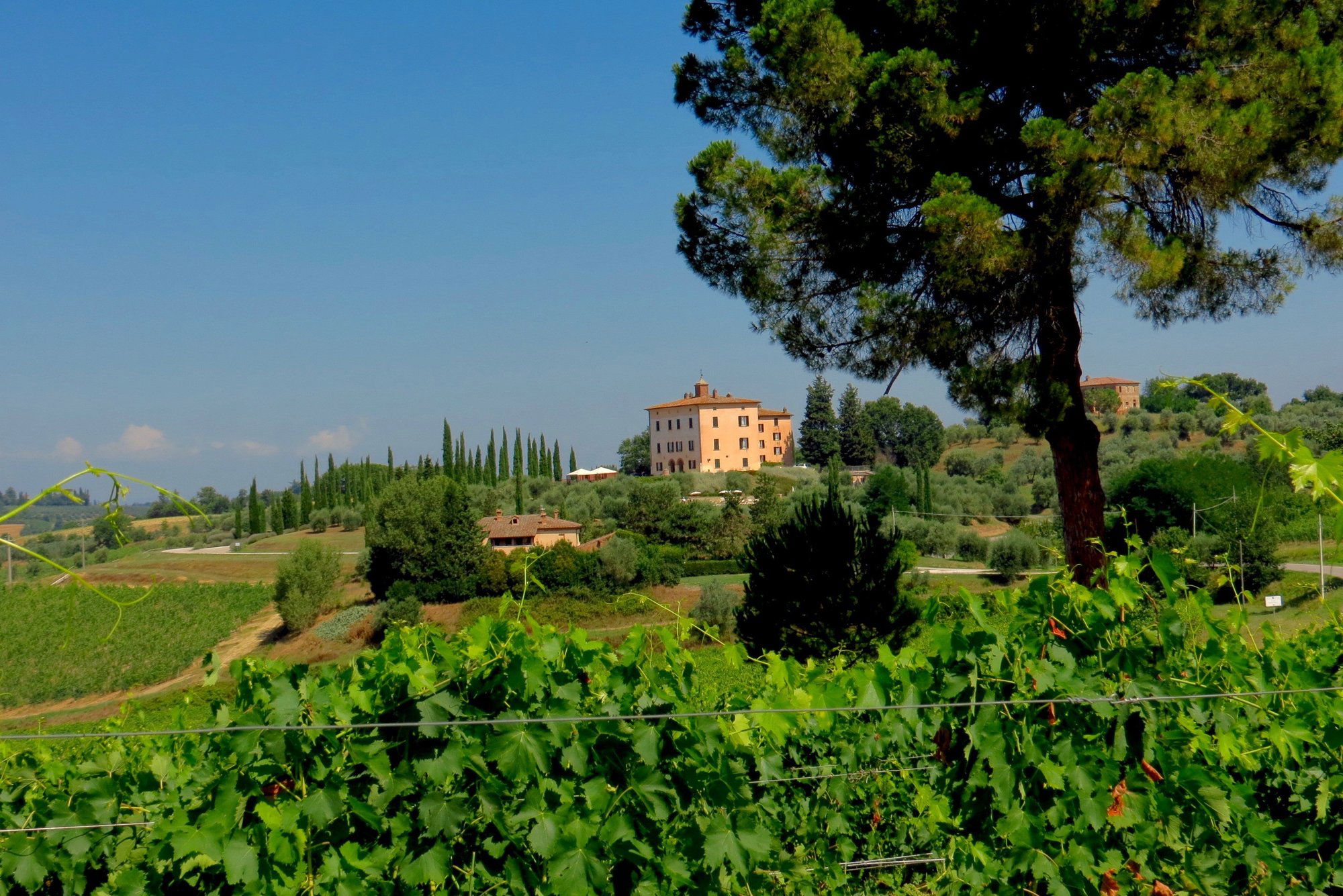 Fattoria del Cerro, Winery in Montepulciano