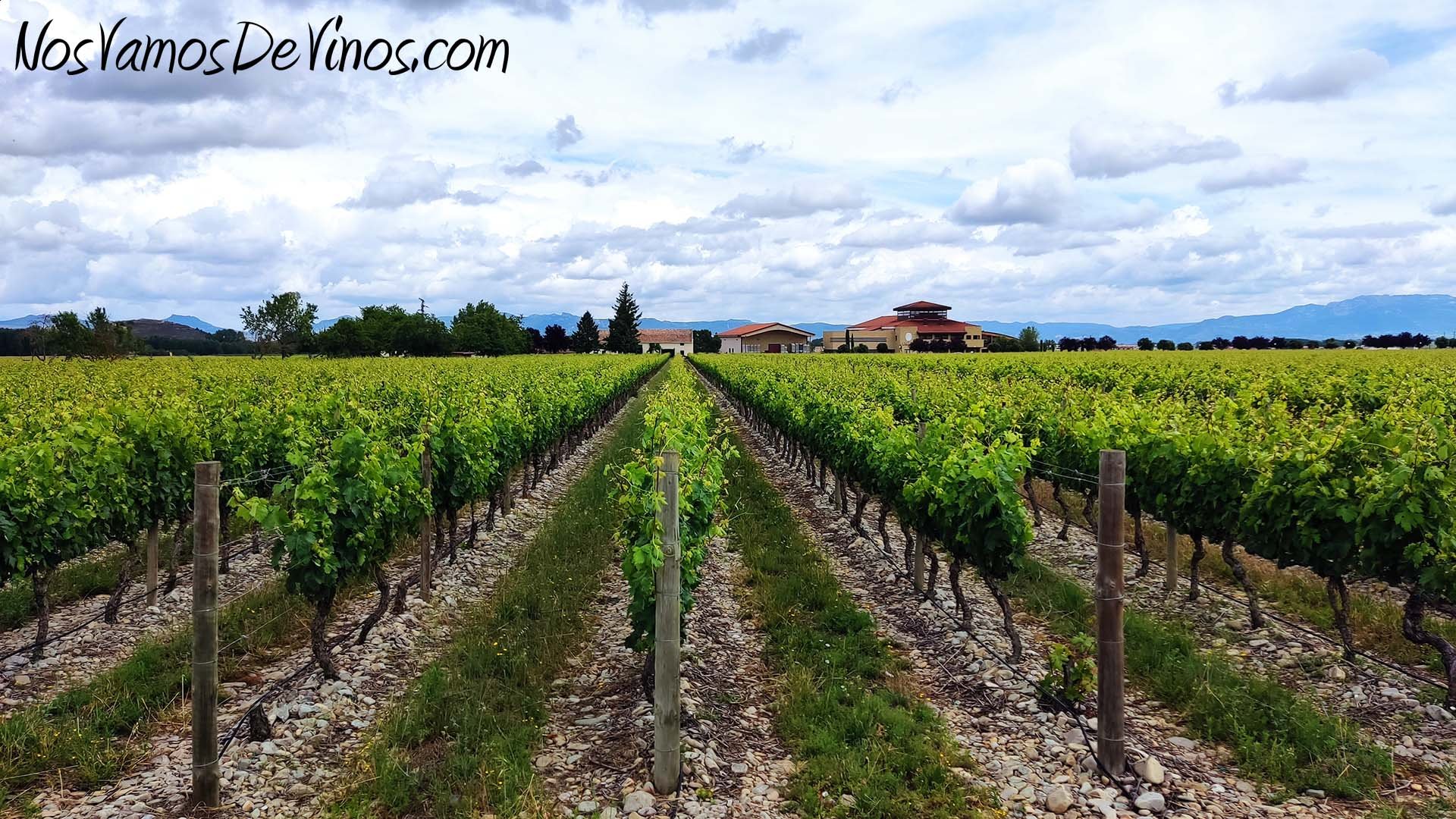 Bodegas y Viñedos Ortega Ezquerro, Winery in Tudelilla