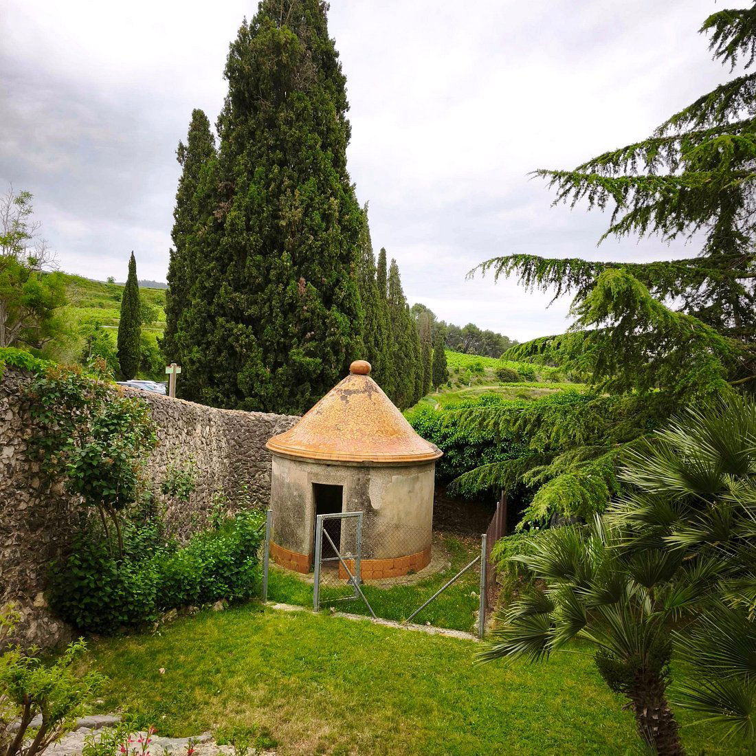 Albet i Noya, Winery in Subirats