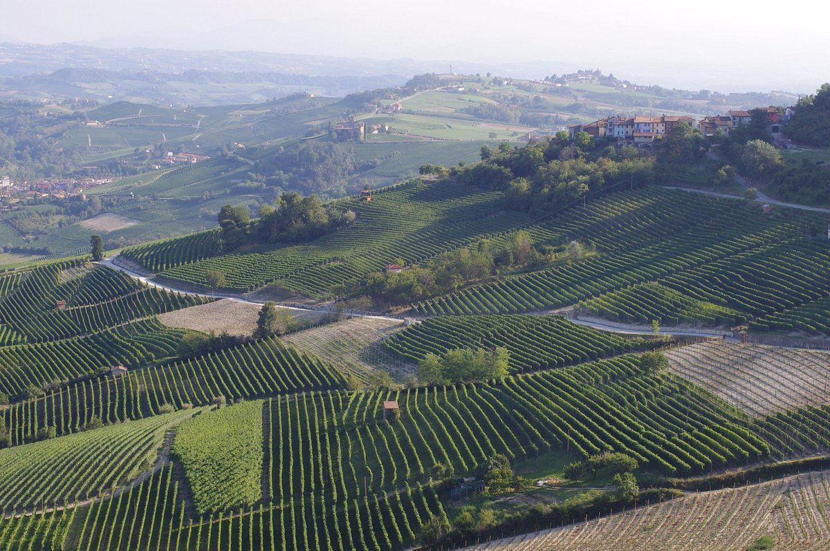 Azienda Agricola Stroppiana, Winery in La Morra
