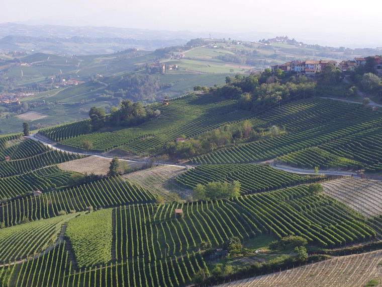 Cantina Stroppiana SSA, La Morra, Italy
