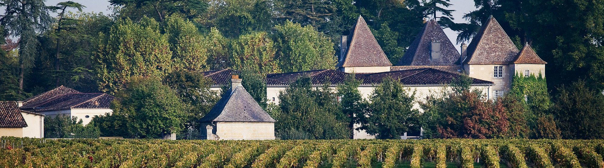 Château Carbonnieux winery in Léognan