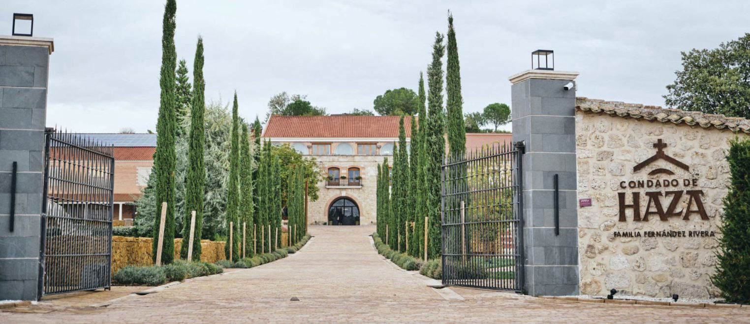 Bodegas Condado de Haza, Winery in Roa