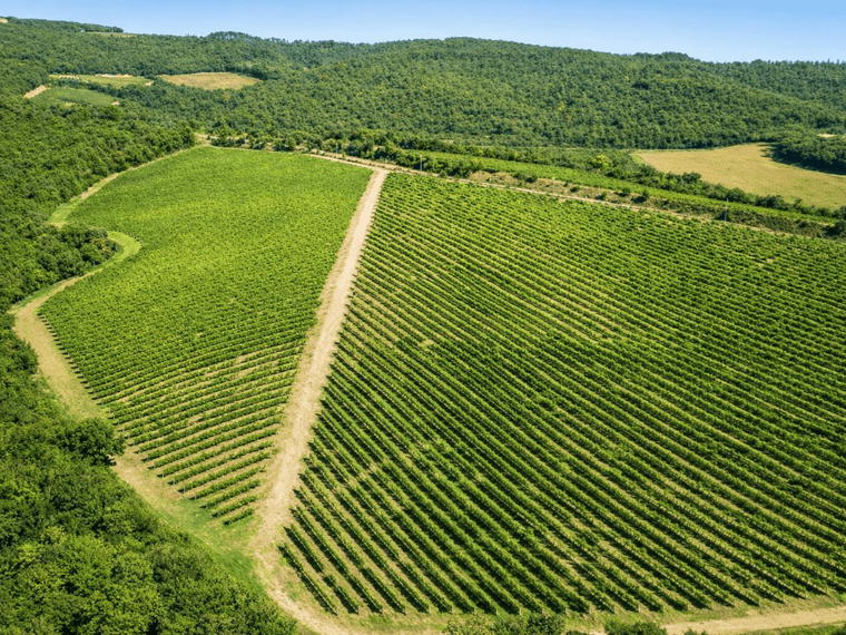 Centolani, Montalcino, Italy