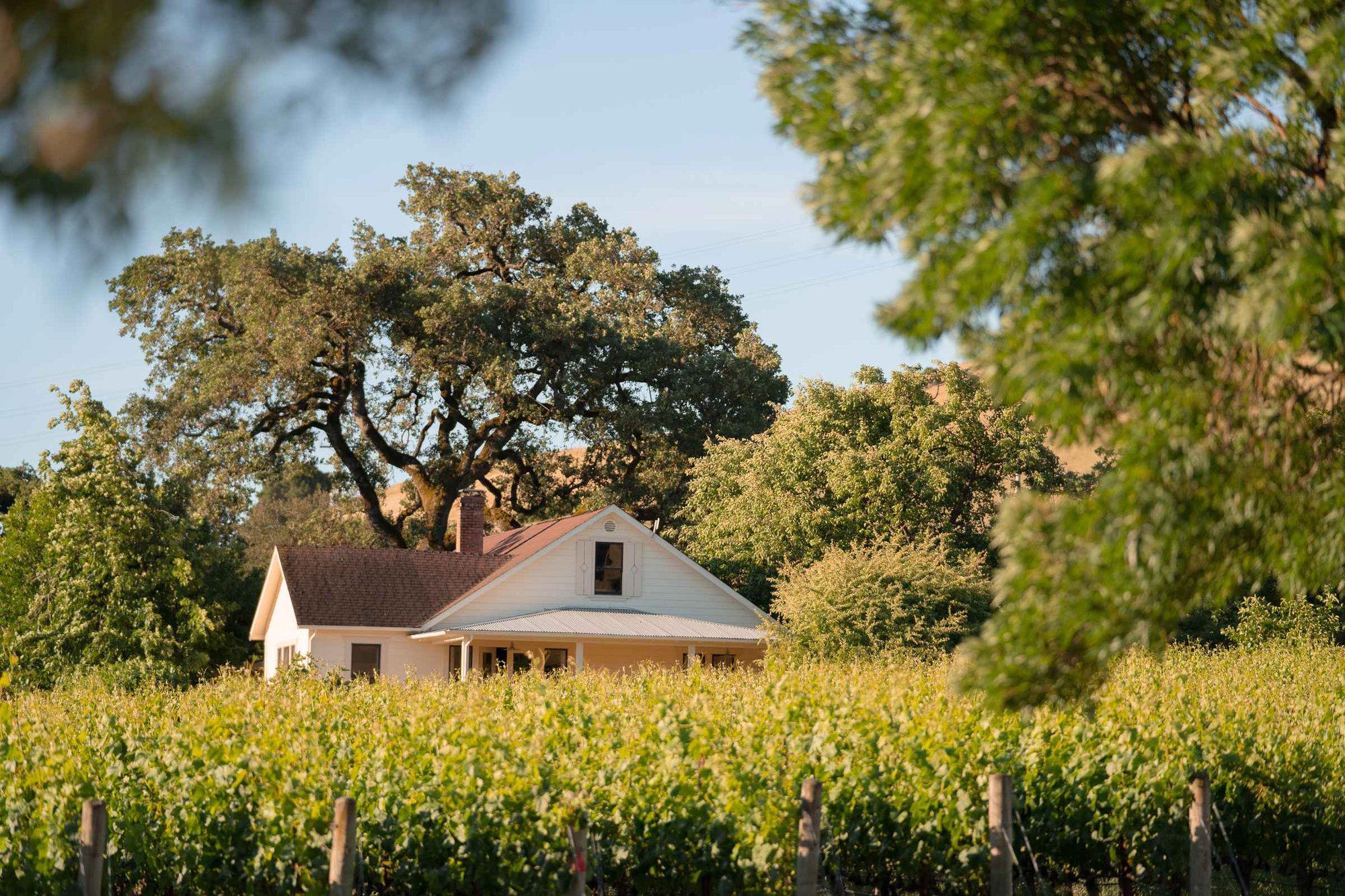 Dunstan Wines - Durell Vineyard winery in Sonoma, United States