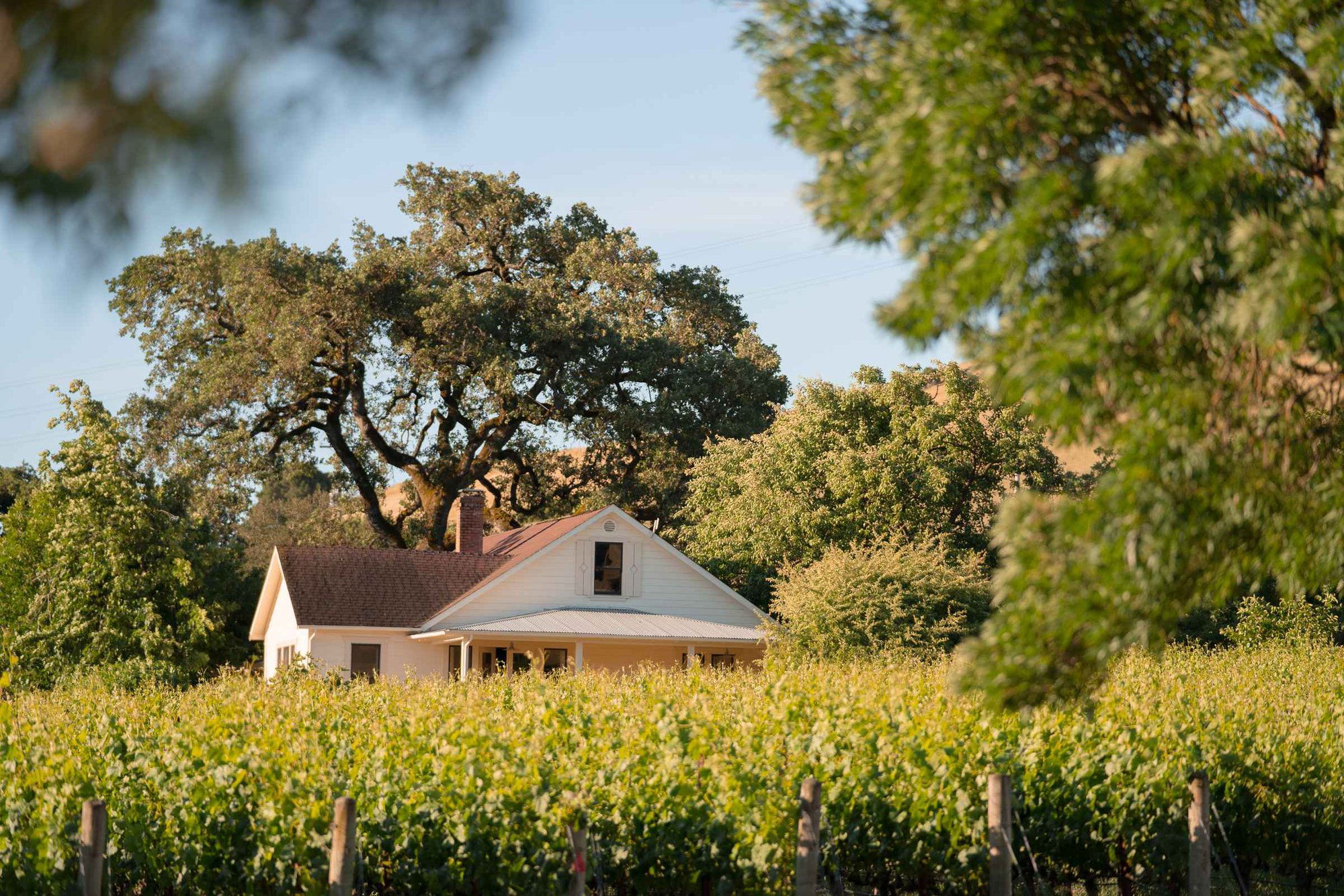 Dunstan Wines - Durell Vineyard, Winery in Sonoma