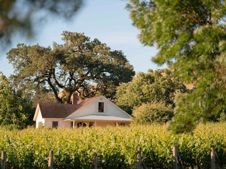 Dunstan Wines - Durell Vineyard, Sonoma, United States
