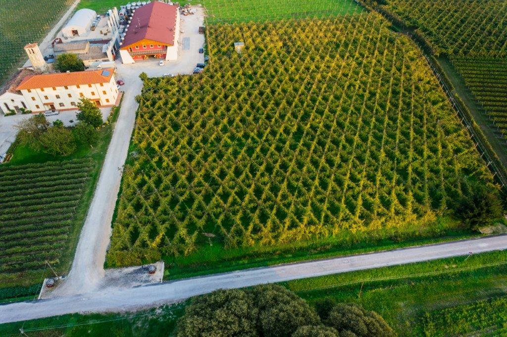 Ca' di Rajo, Winery in San Polo di Piave