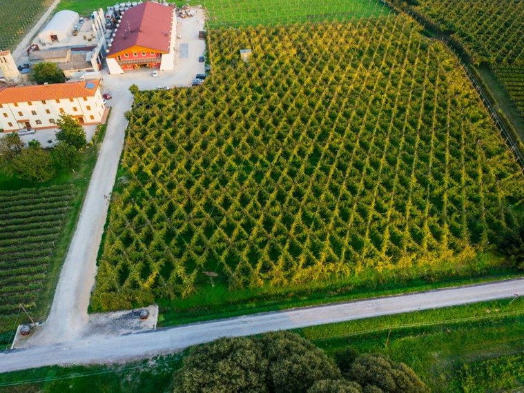 Ca' di Rajo, San Polo di Piave, Italy