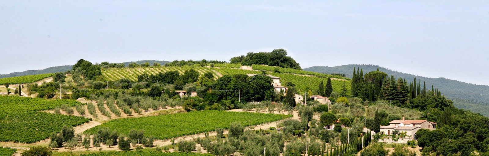 Baricci, Montalcino, Italy