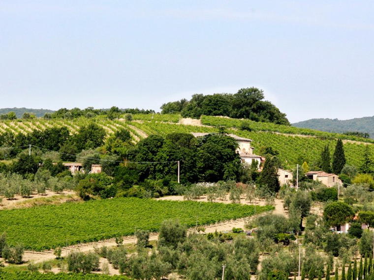 Baricci, Montalcino, Italy