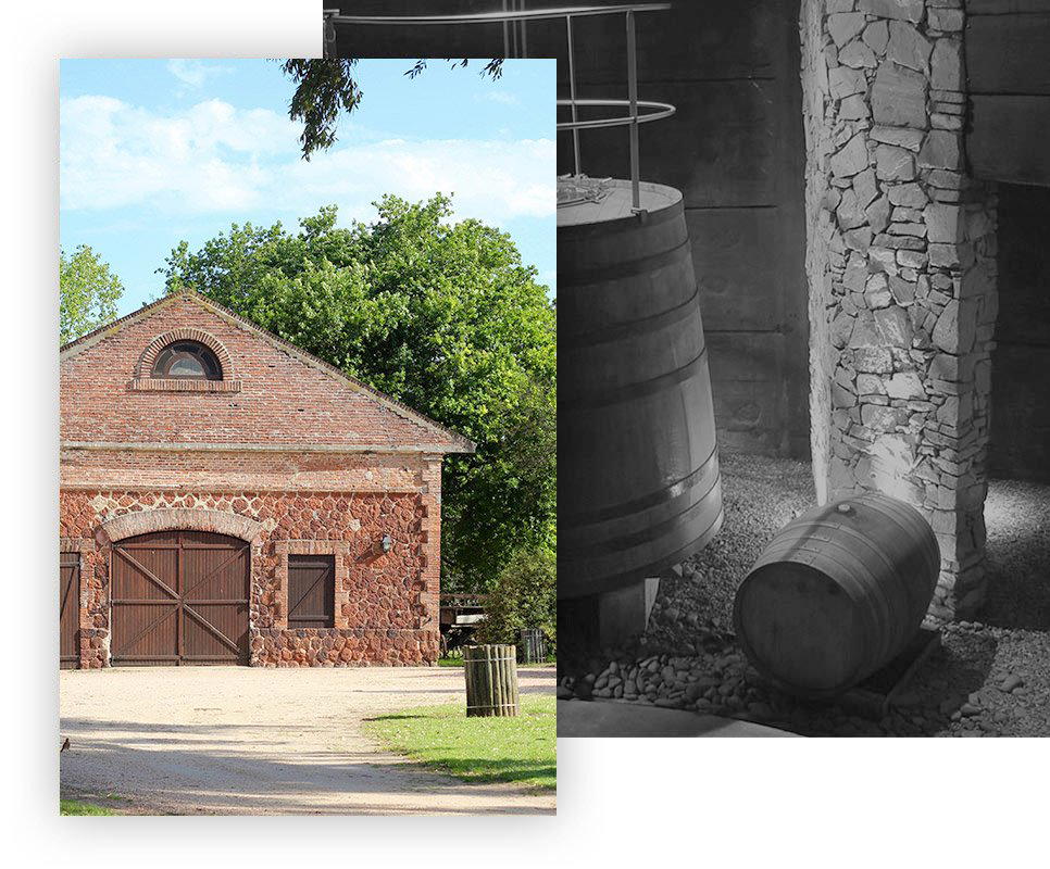 Bodega Juanicó winery in Canelones, Uruguay