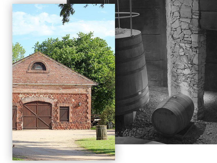 Bodega Juanicó, Canelones, Uruguay
