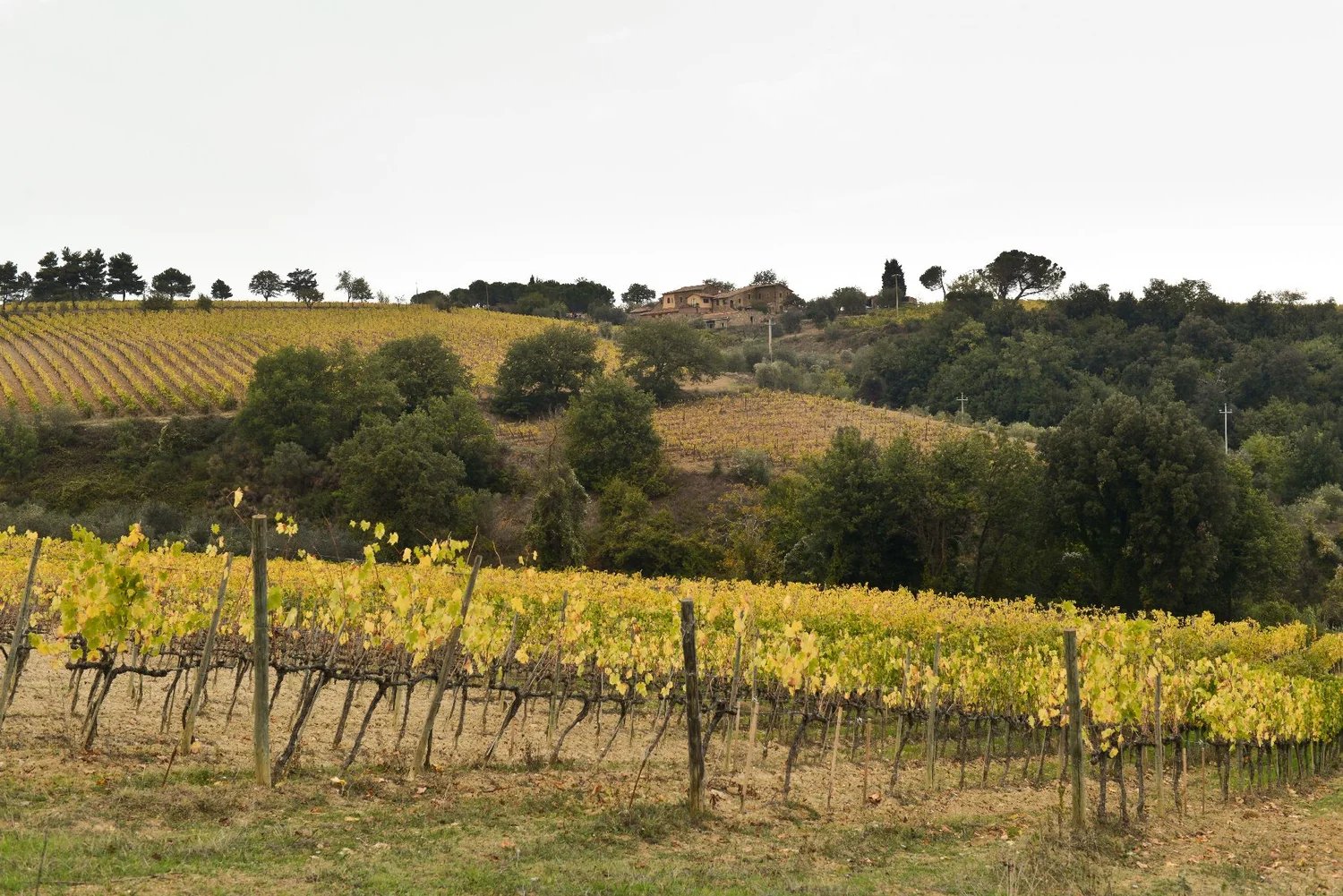 Castello di Lucignano, Gaiole in Chianti, Italy