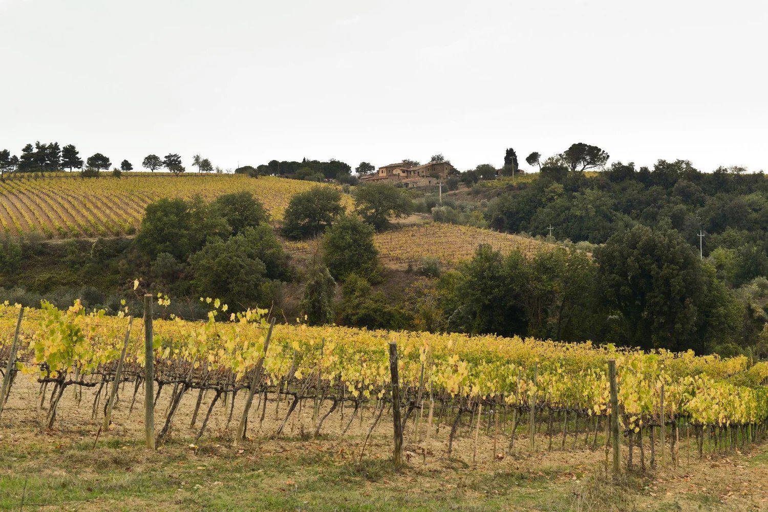 Castello di Lucignano winery in Gaiole in Chianti