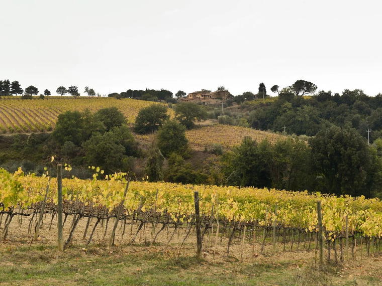 Castello di Lucignano, Gaiole in Chianti, Italy
