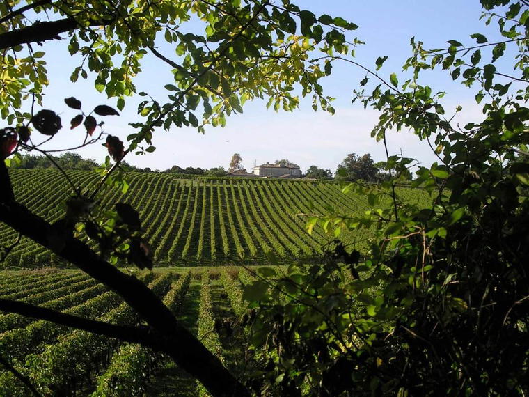 Château Mazeris, Saint Michel De Fronsac, France