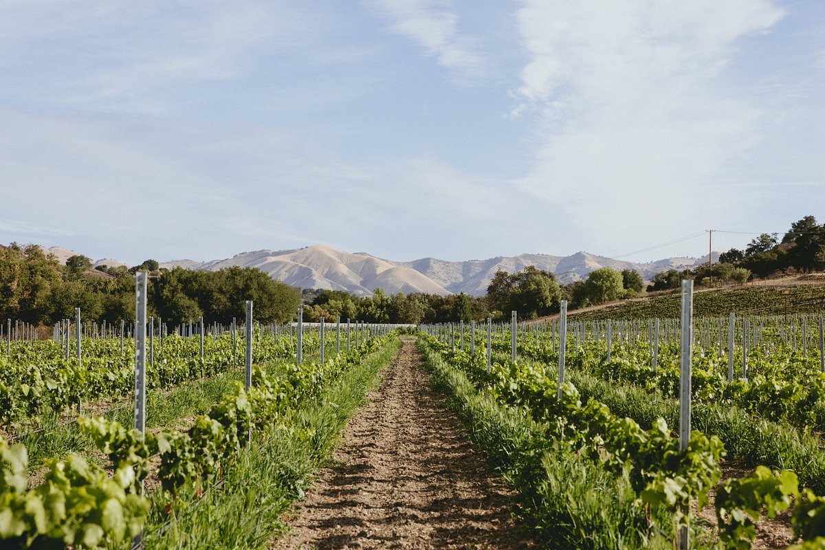 Koehler Winery