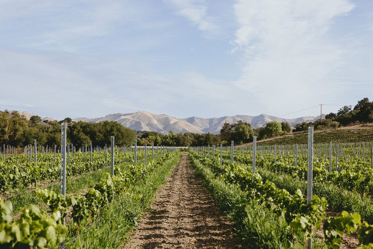 Koehler Winery, Winery in Santa Ynez