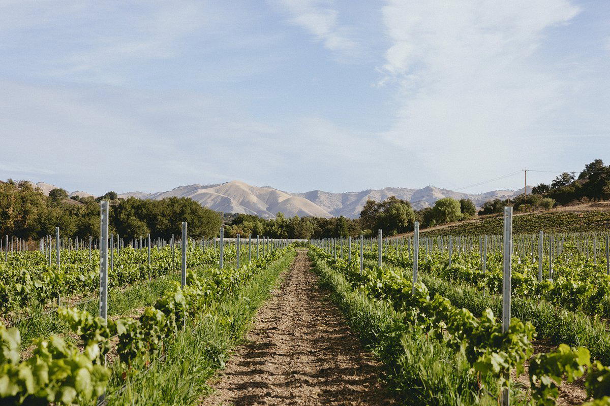 Koehler Winery winery in Santa Ynez, United States