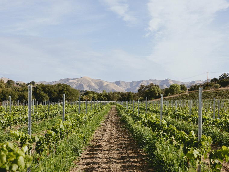 Koehler Winery, Santa Ynez, United States