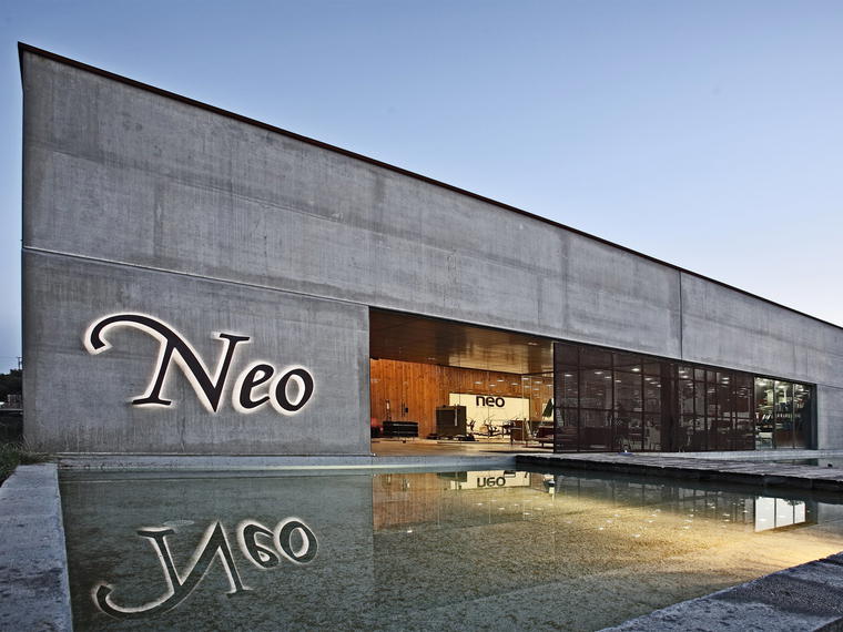 Bodegas y Viñedos Neo, Castrillo De La Vega, Spain