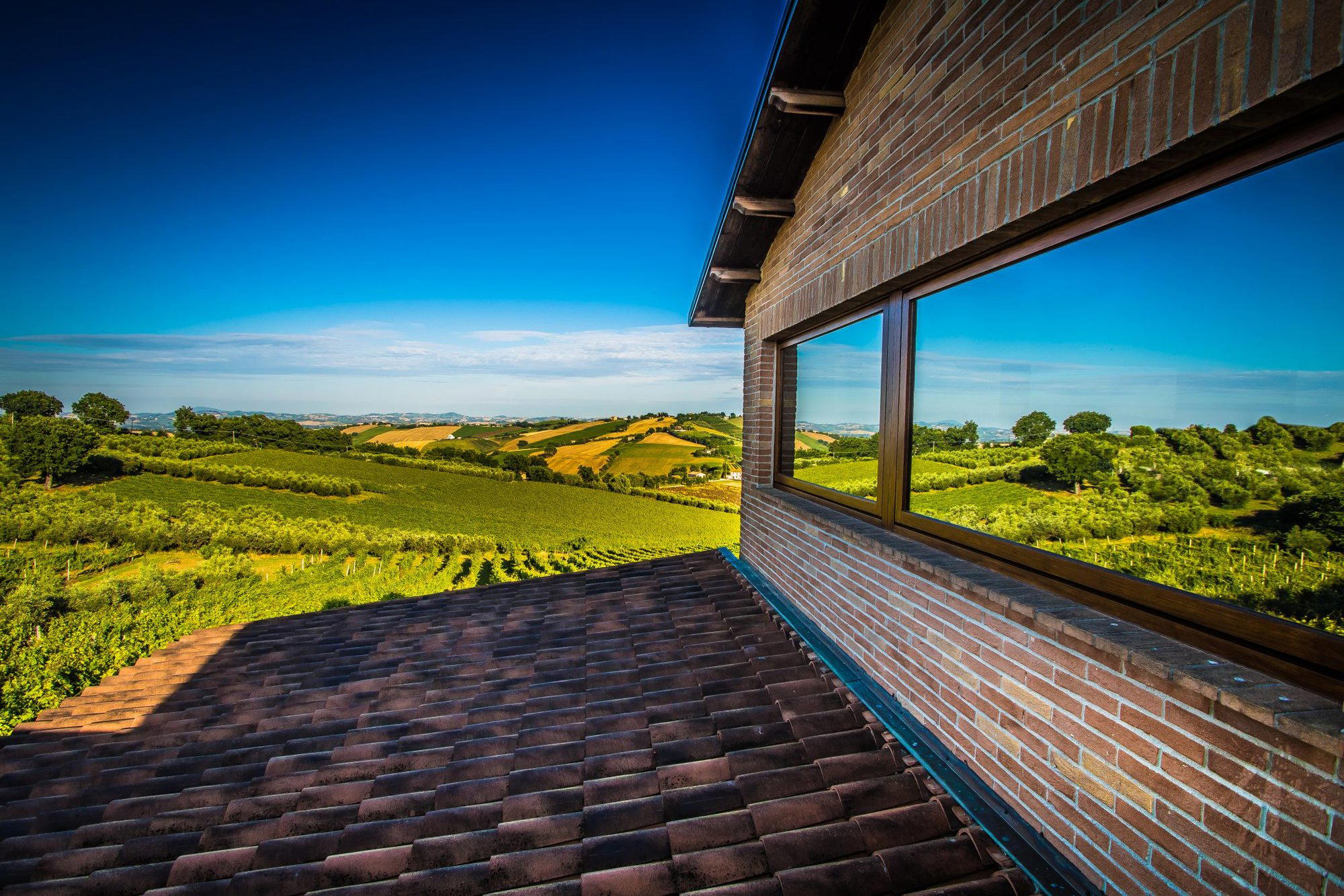 Lucchetti winery in Morro D Alba