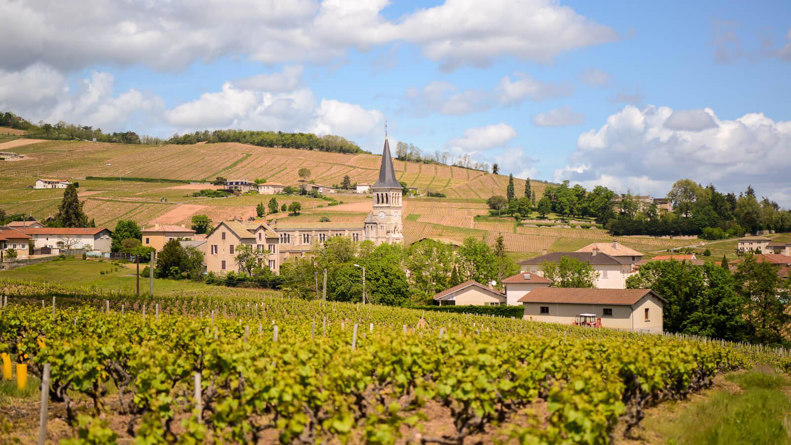 Domaine Anita, Chenas, France