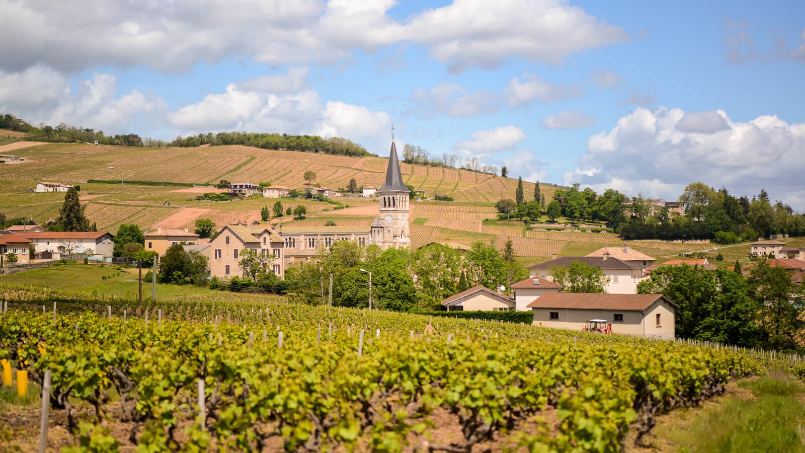Domaine Anita, Winery in Chenas