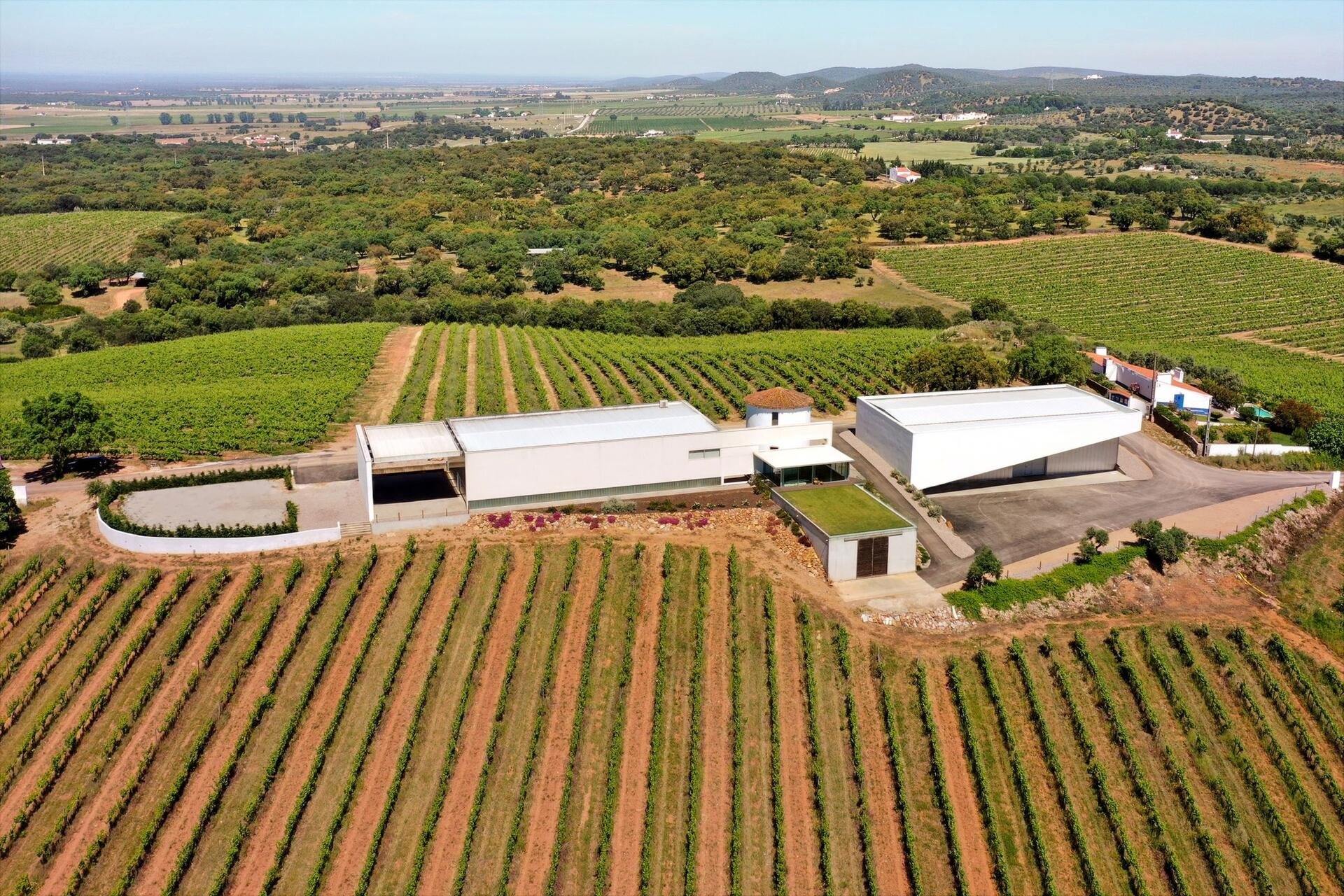 Adega do Monte Branco, Winery in Estremoz