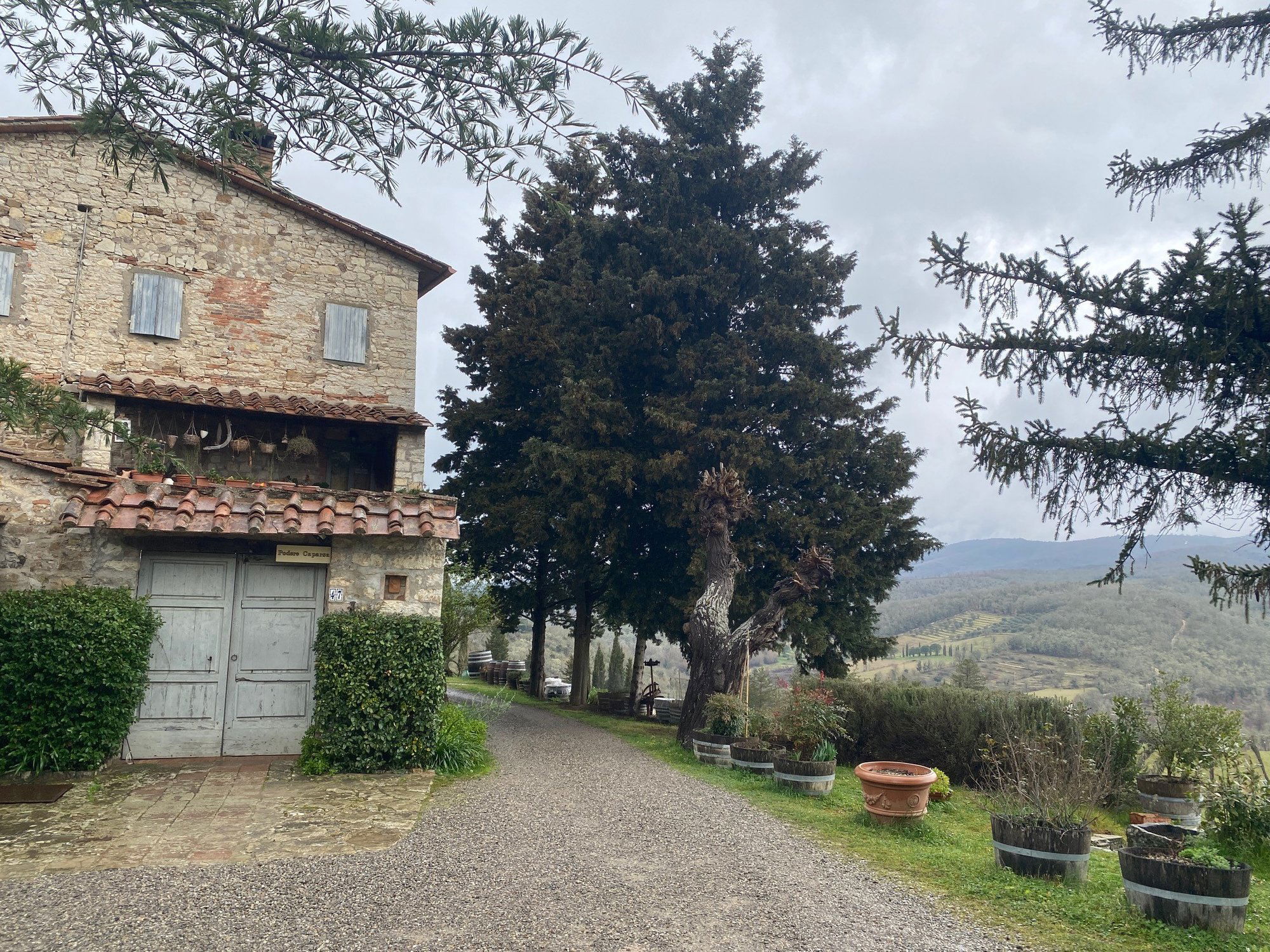 Caparsa, Winery in Radda in Chianti