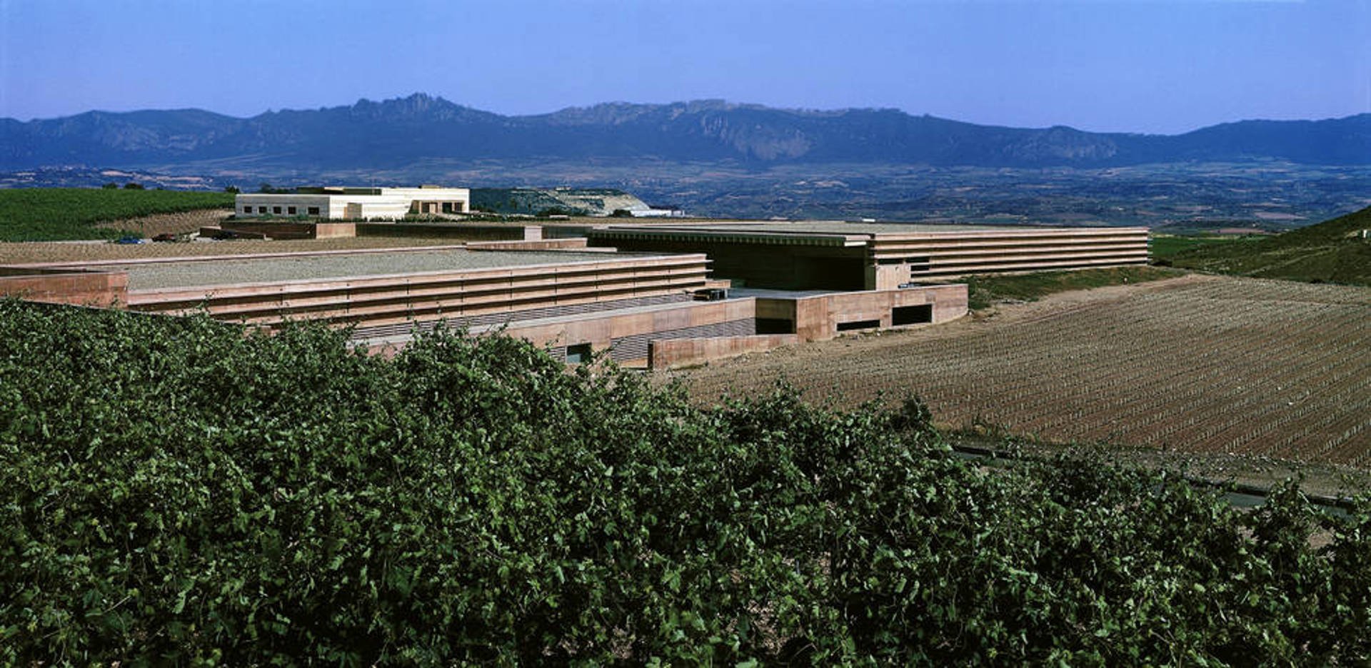 Bodegas Juan Alcorta, Winery in Logroño