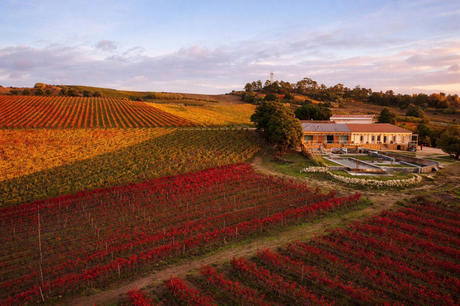 Quinta da Boa Esperança winery in Torres Vedras