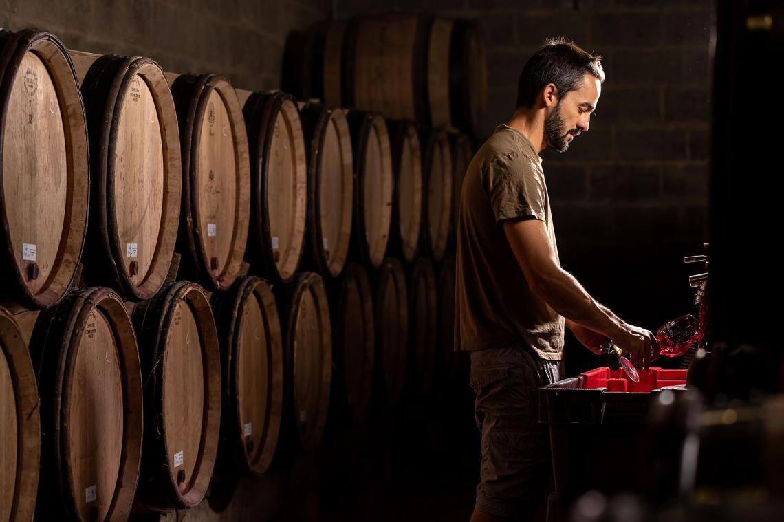 Domaine P. & M. Jacqueson, Rully, France