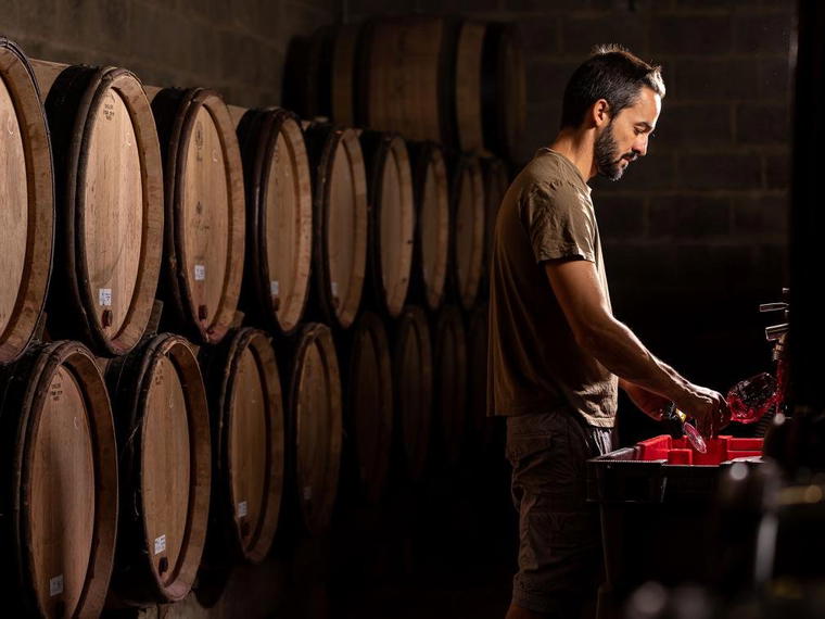 Domaine P. & M. Jacqueson, Rully, France