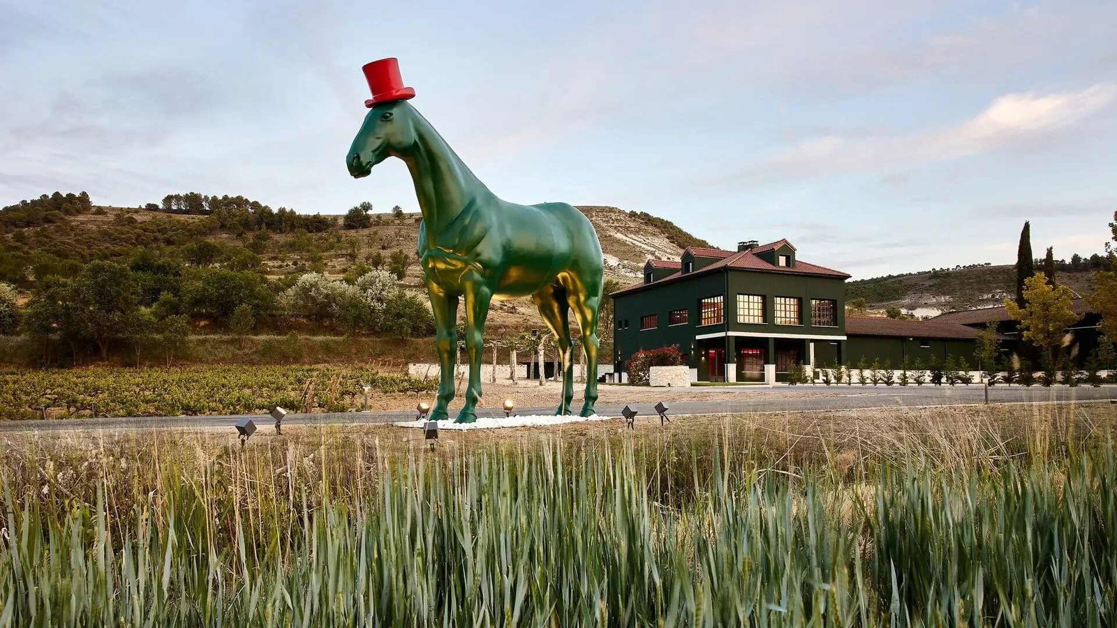 Bodegas Virtus, Aldeyuso, Spain