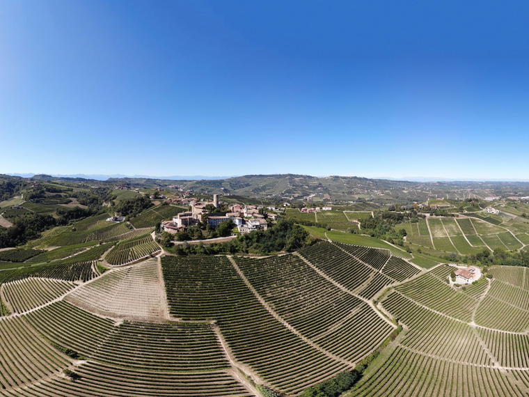 Agostino Bosco, La Morra, Italy