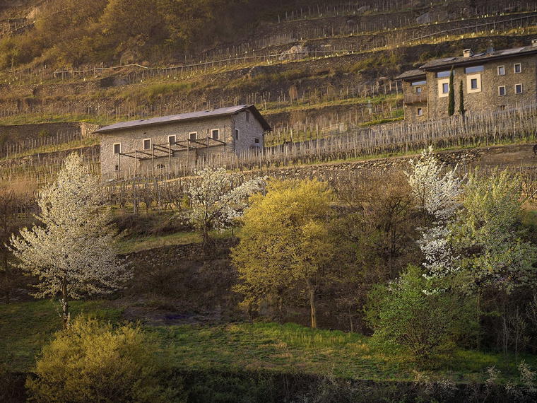 La Perla di Marco Triacca, Tresenda Di Teglio, Italy