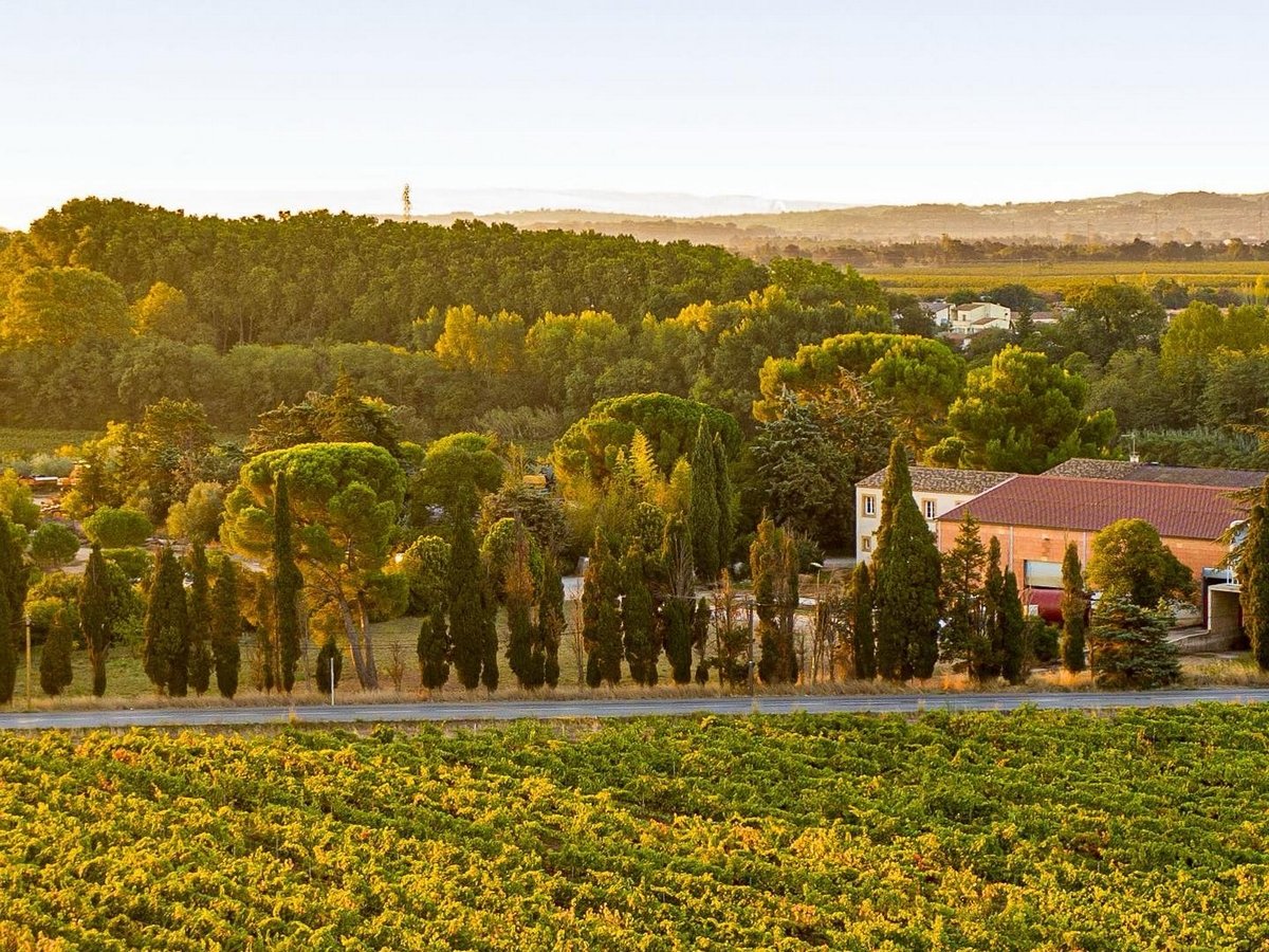 Domaine de l'Herbe Sainte, Mirepeisset, France