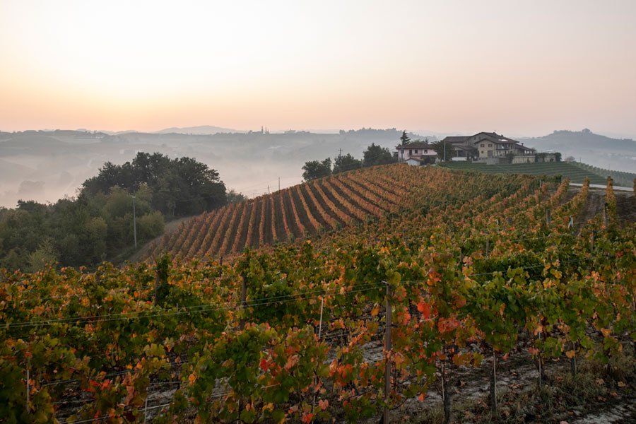 Azienda Agricola Pecchenino