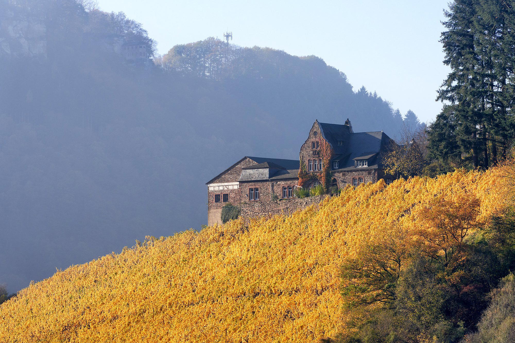 Weingut Würtzberg winery in Serrig