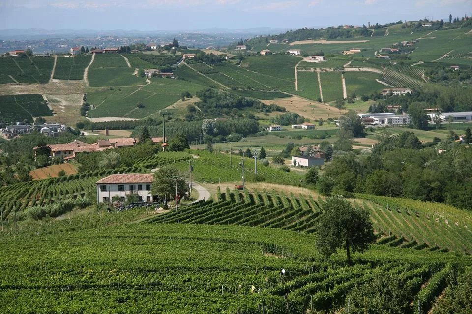 Gianni Doglia winery in Castagnole Delle Lanze
