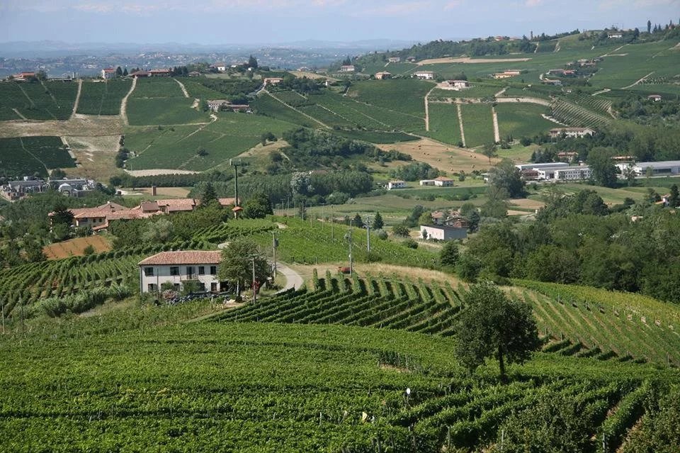 Gianni Doglia