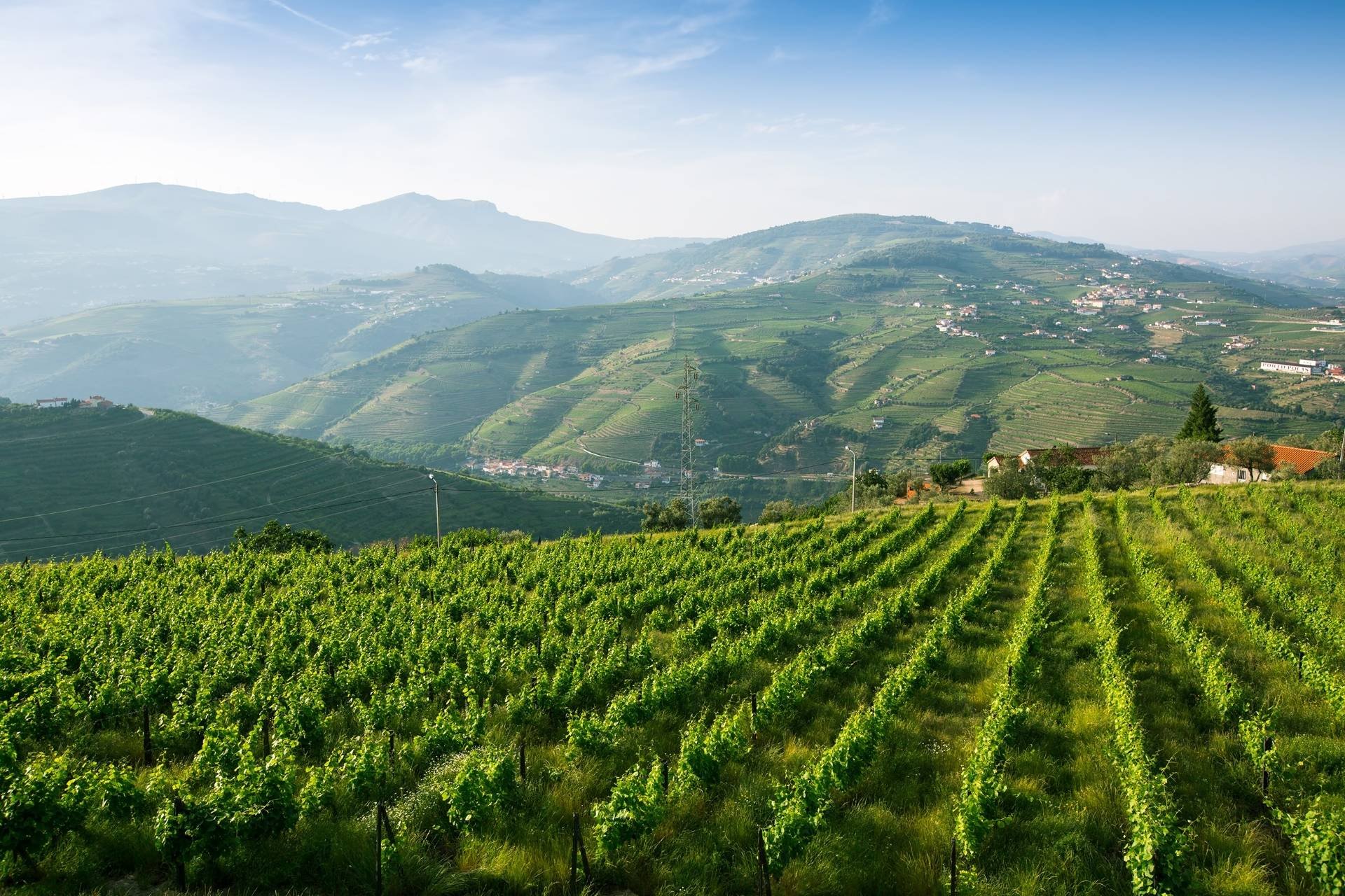 Adega Cooperativa Regional de Moncao, Winery in Monção