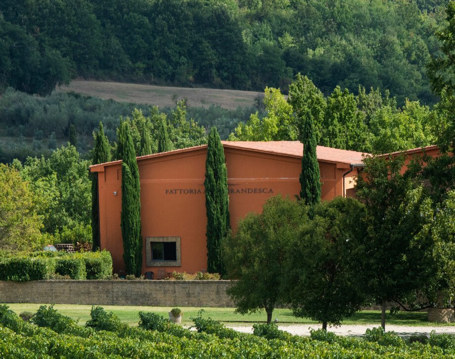 Fattoria Aldobrandesca, Sorano, Italy
