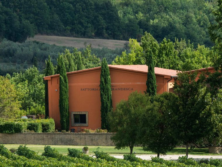 Fattoria Aldobrandesca, Sorano, Italy