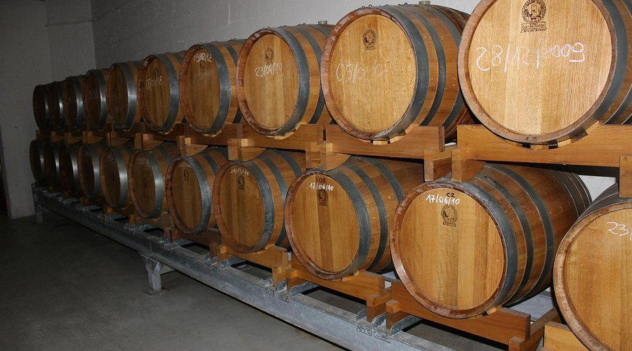 Bepi Tosolini winery in Povoletto