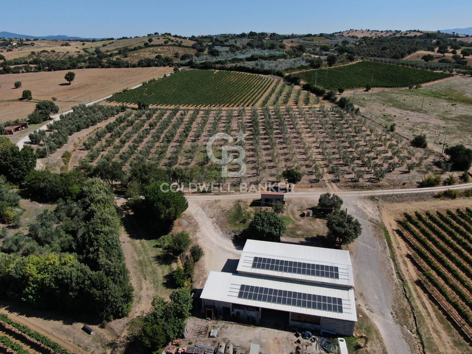 Agricola del Nudo, Grosseto, Italy
