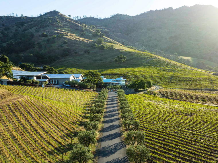 Morisoli Vineyard, Rutherford, United States