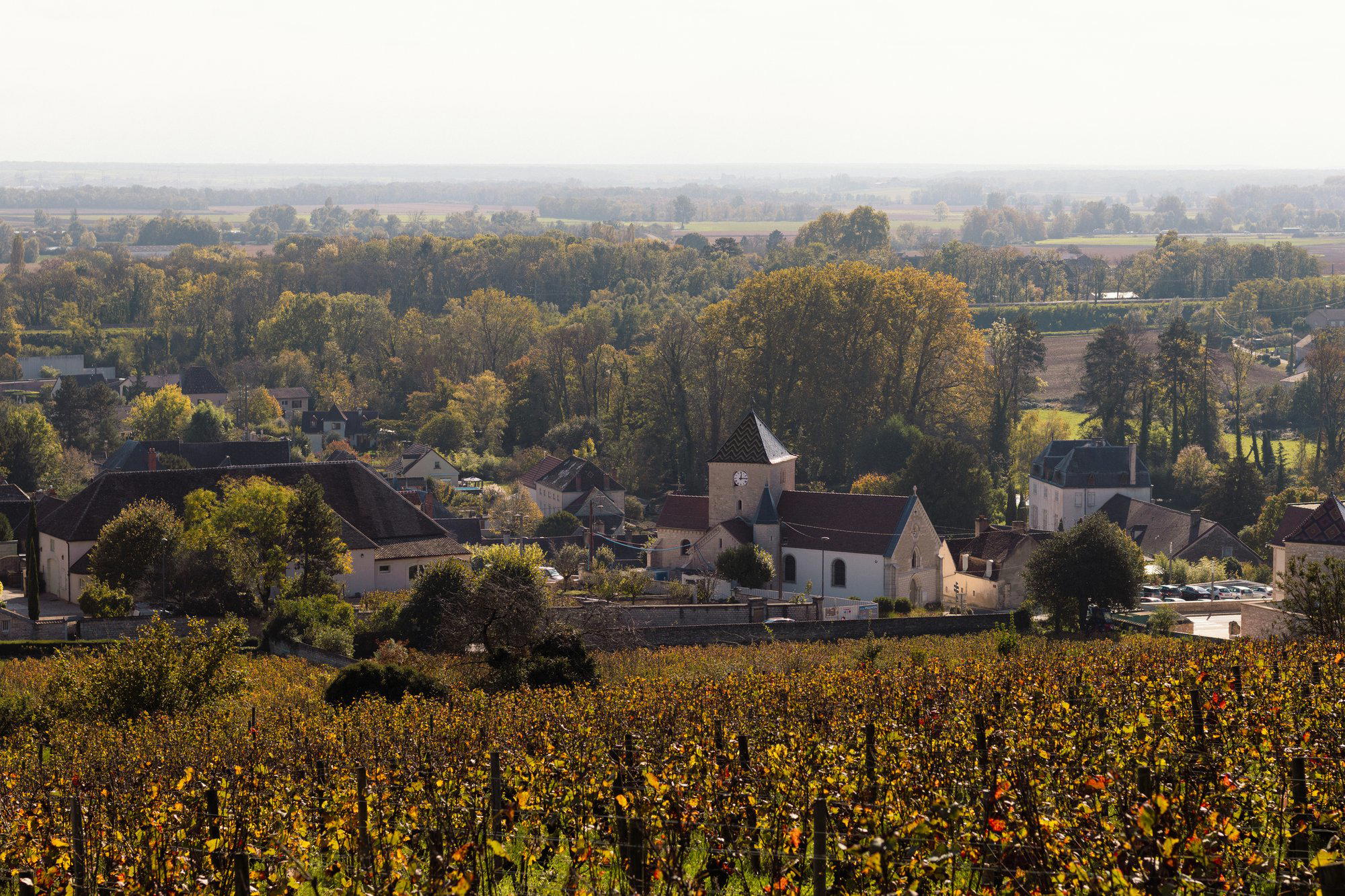 Maison Ambroise winery in Premeaux-Prissey, France